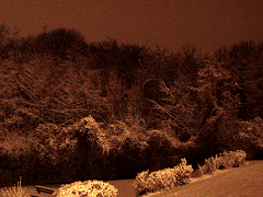 Enfin la neige de retour...