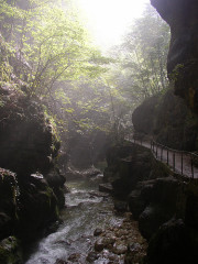 Gorges du Taubenloch Gorges du Taubenloch